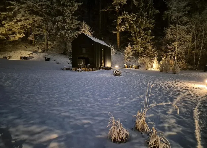 Sosnowy Szept Holiday home *